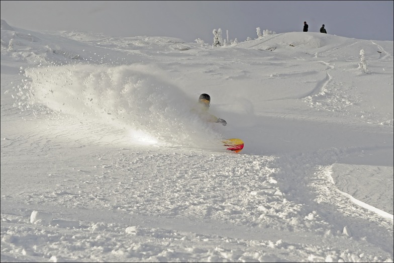 big white