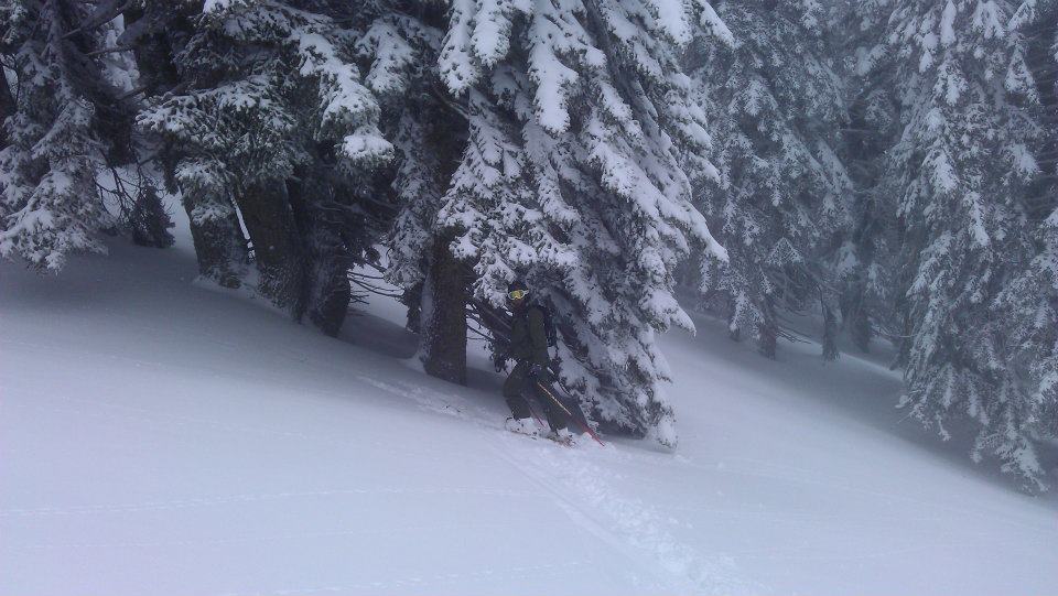 Lost in the trees, Kalavryta Ski Resort