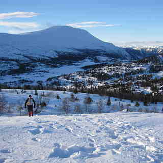 Crosscontry skiing, Gaustablikk