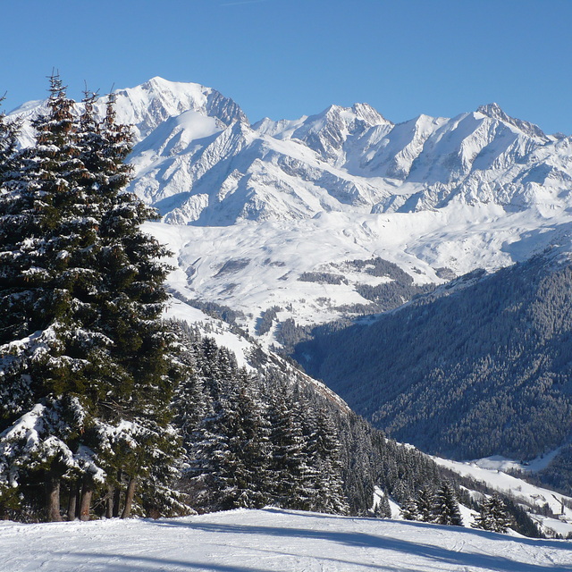 Les Saisies Snow: Perfect pistes. 