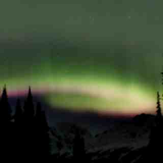 Northern Lights Above the Mountains, Powder King