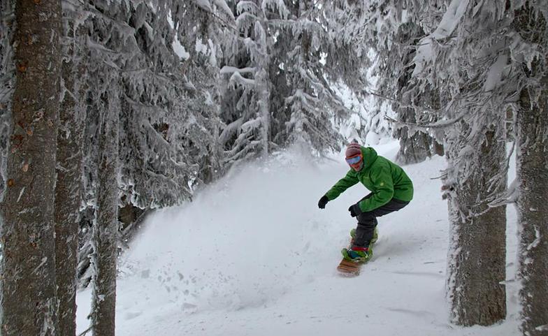 Excellent January Conditions, Sun Peaks