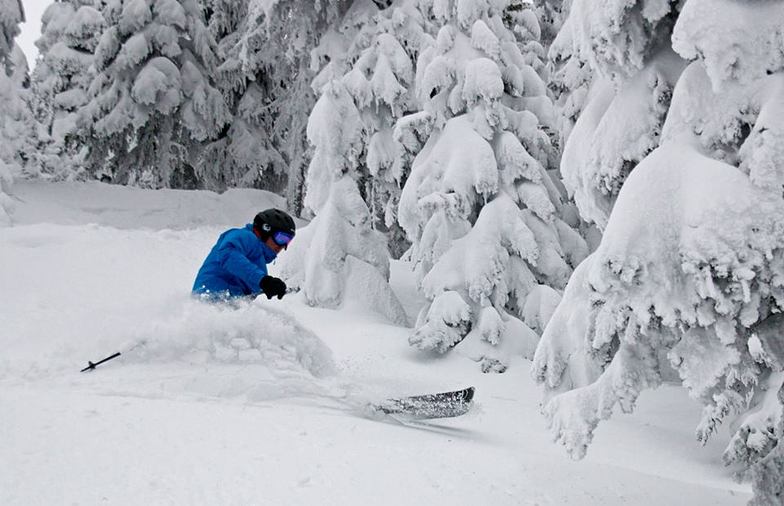 Deep Powder on Jan 3rd 2014, Sun Peaks