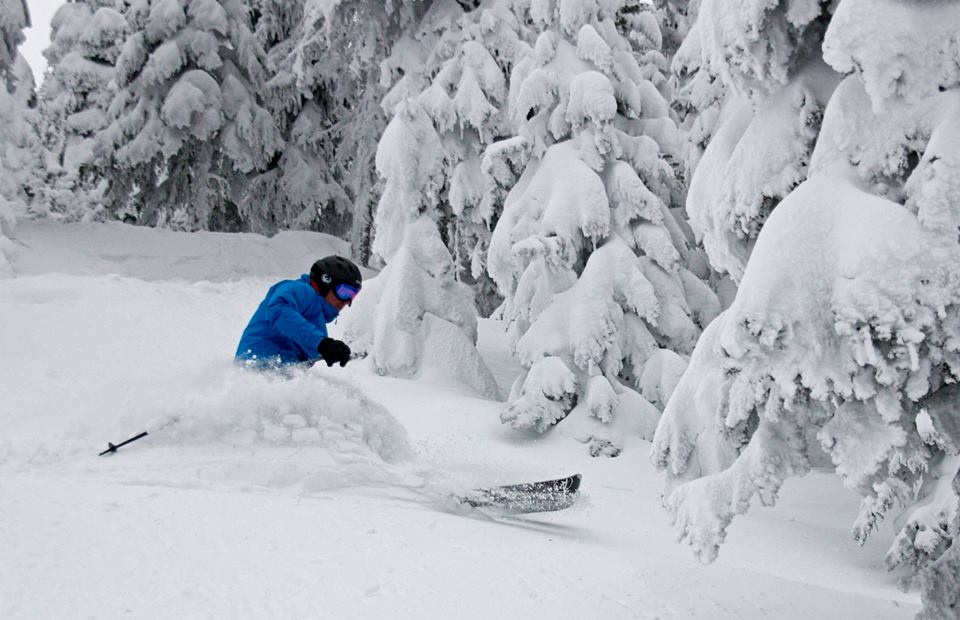 Deep Powder on Jan 3rd 2014, Sun Peaks