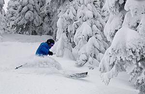 Deep Powder on Jan 3rd 2014, Sun Peaks photo