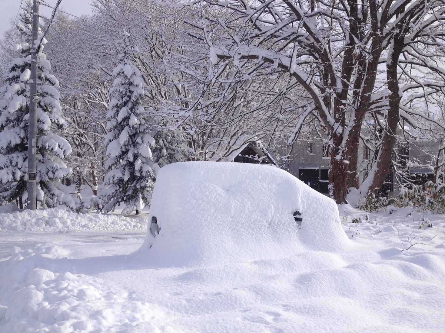 SkiJapan.com's company car, Niseko Grand Hirafu
