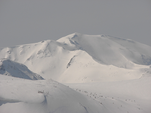 Borşa Ski Resort by: elianantal