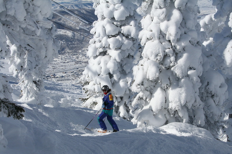 Bluebird day in the snow monsters, Steamboat