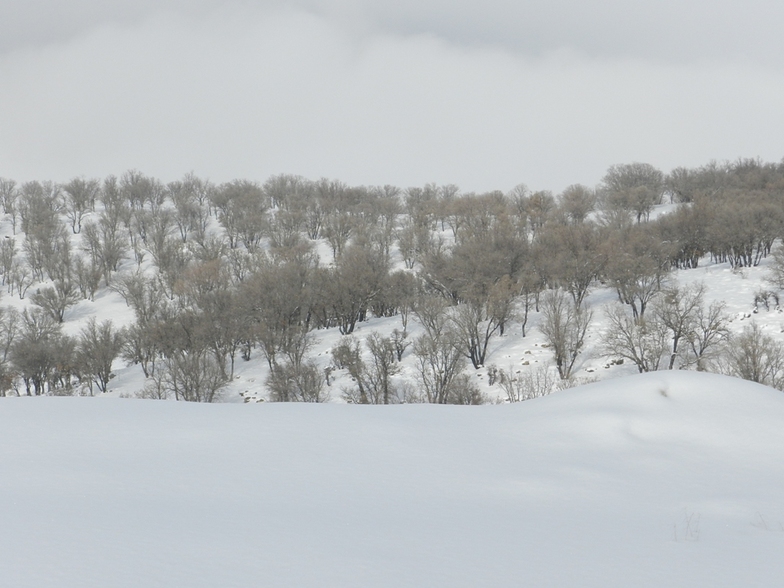 Arzhan, Pooladkaf Ski Resort