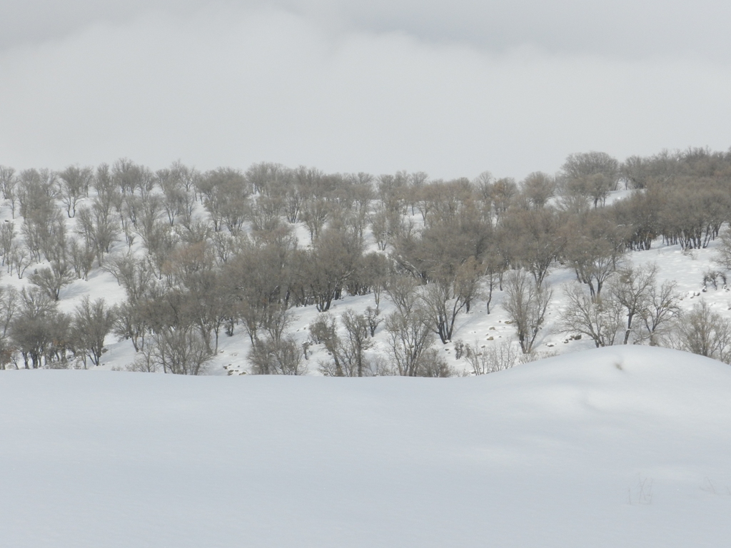 Arzhan, Pooladkaf Ski Resort