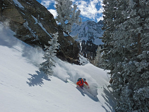 POW! in Grizzly Gulch, Alta photo