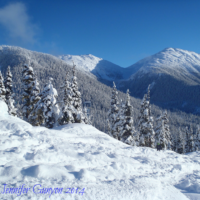 Shames Mountain powder day!