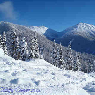 Shames Mountain powder day!