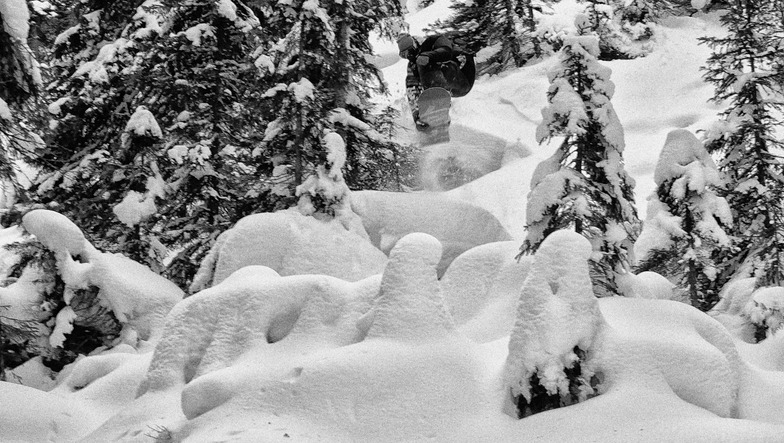 Ehrwald, Ehrwalder Alm