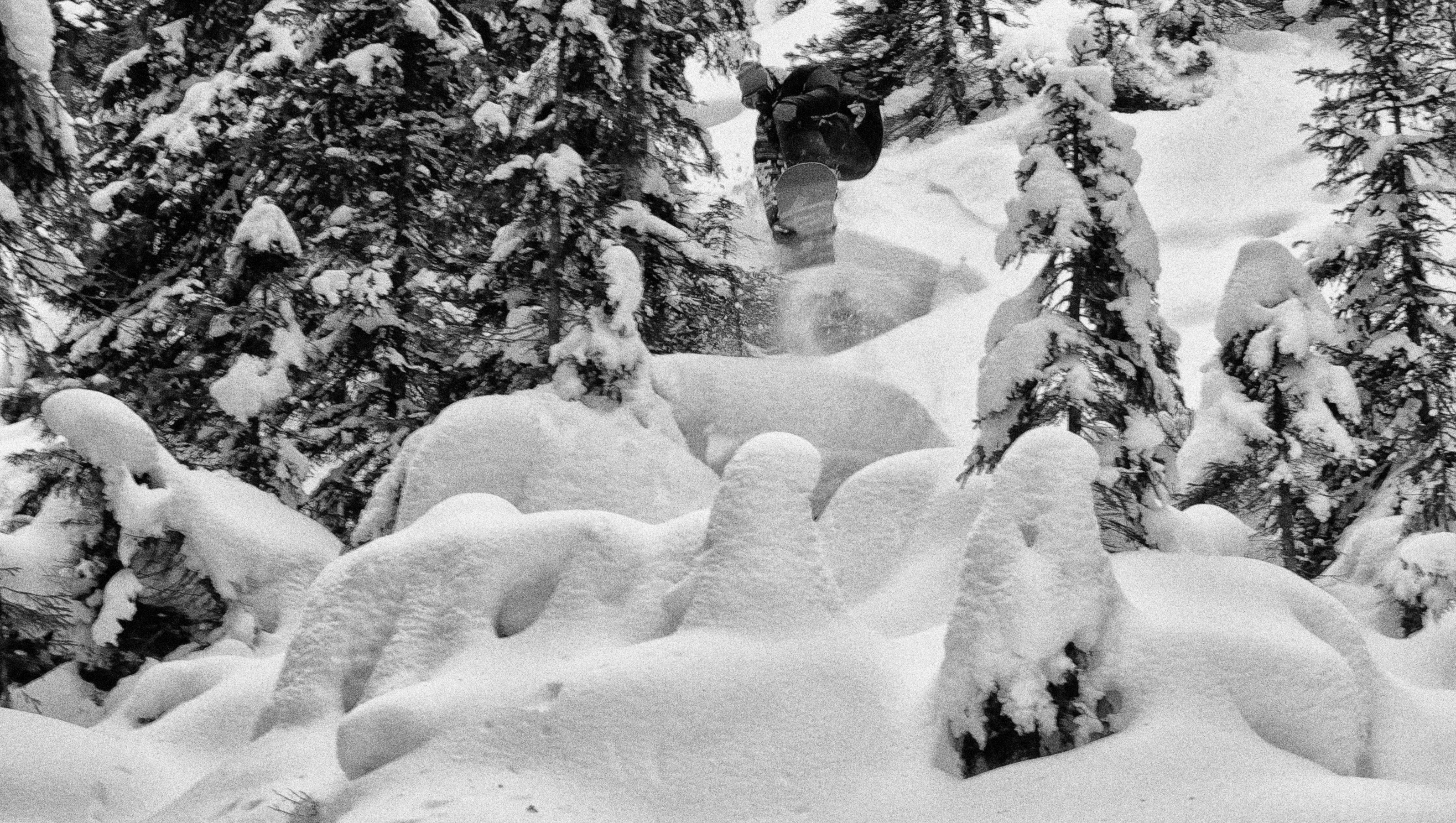 Ehrwald, Ehrwalder Alm