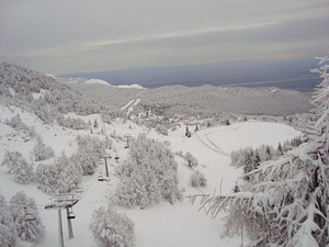 Rifugio Arneri, Piancavallo photo