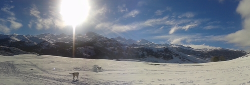 Picos De Europa Ski Resort by: sanfer