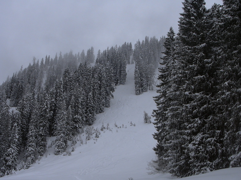 Great terrain in Klosters