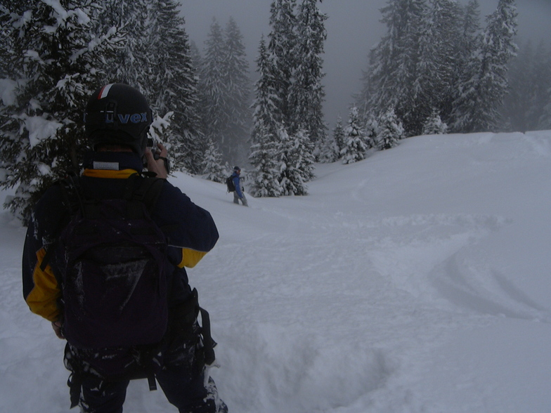 Deeeep Powder in the woods of Klosters