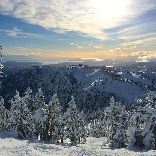 Mount Washington Snow: Harrys