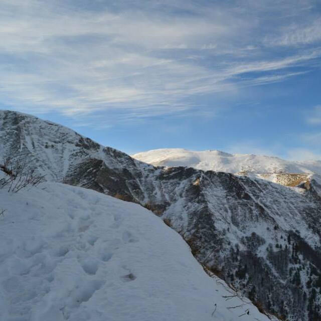 Patiska reka, Karadjica