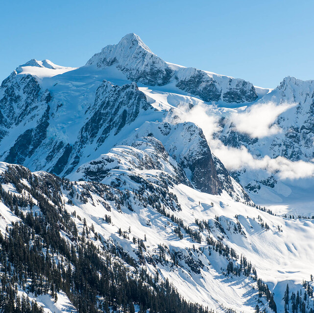 Mount Baker Snow: Mount Shukson