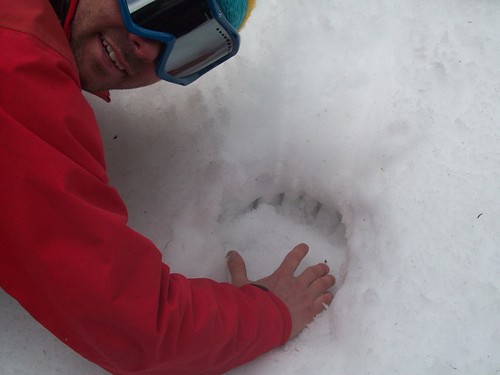 Powder King Ski Resort by: Rick Webster