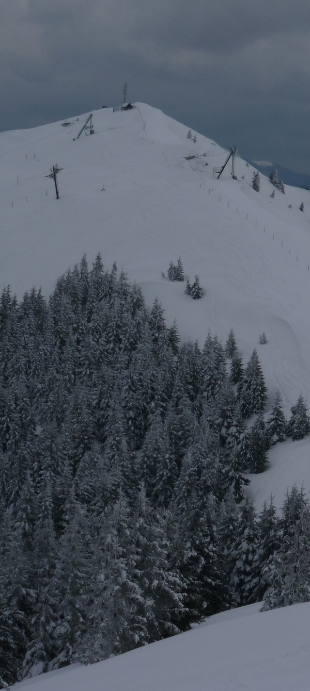 Looking towards Lajnar peak., Soriska Planina