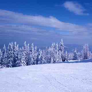 Vitosha-Lale1