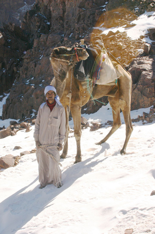 snow bedouin, Jabal Katherina