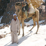 snow bedouin, Egypt