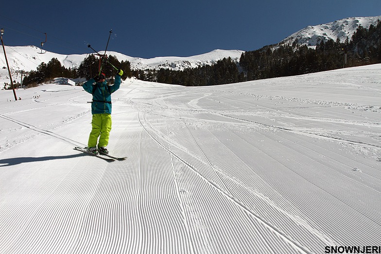 X for Njeri, Brezovica