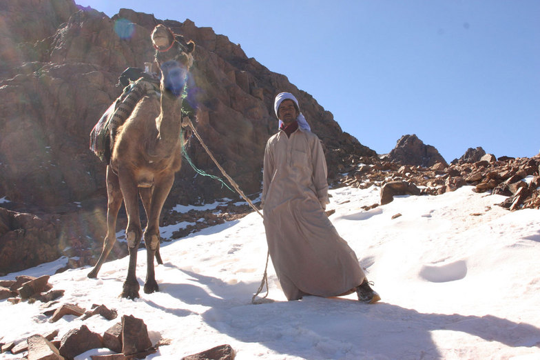 snow bedouins, Jabal Katherina