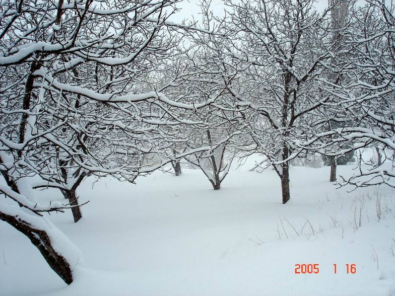 Portaria (mount Pelion) Greece, Pilion