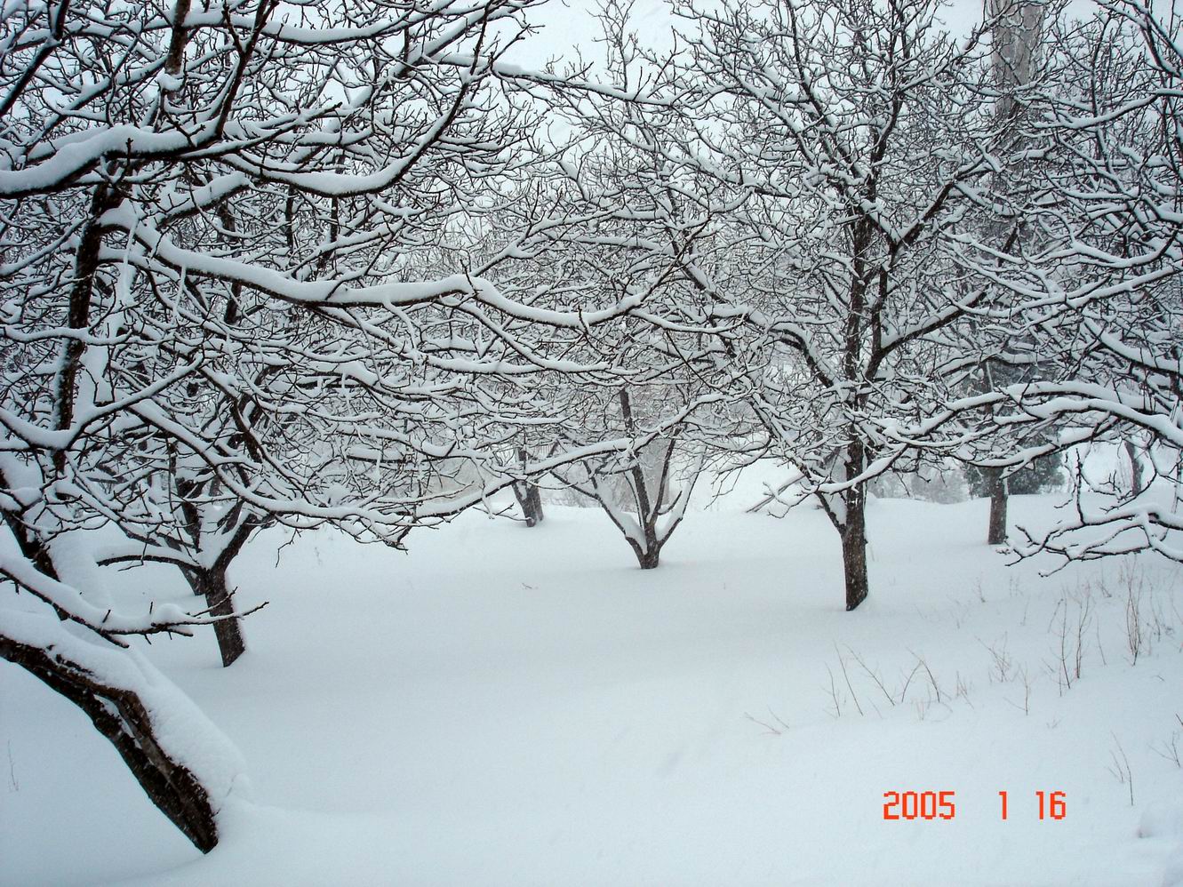 Portaria (mount Pelion) Greece, Pilion