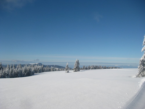 Todtnauberg Ski Resort by: andyi