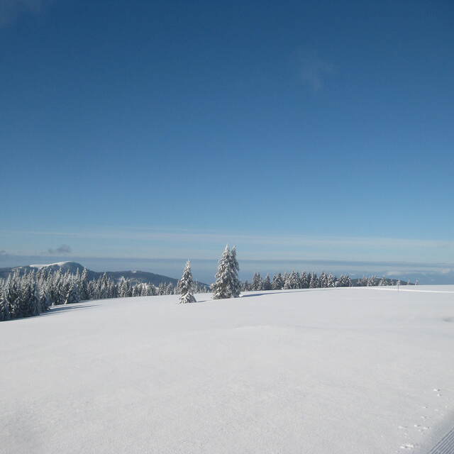 Stübenwasen Gipfel, Todtnauberg