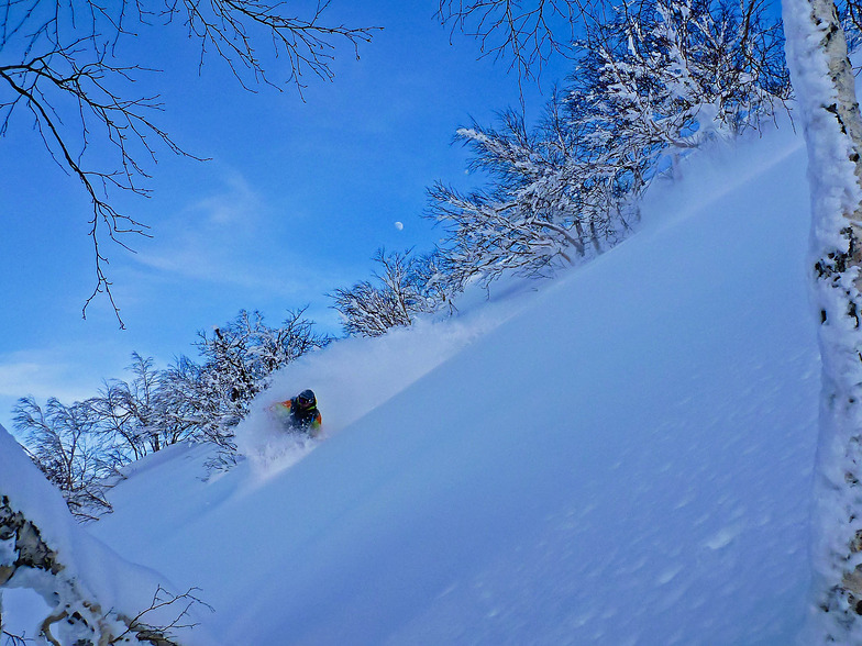 Split boarding in Paradise, Furano