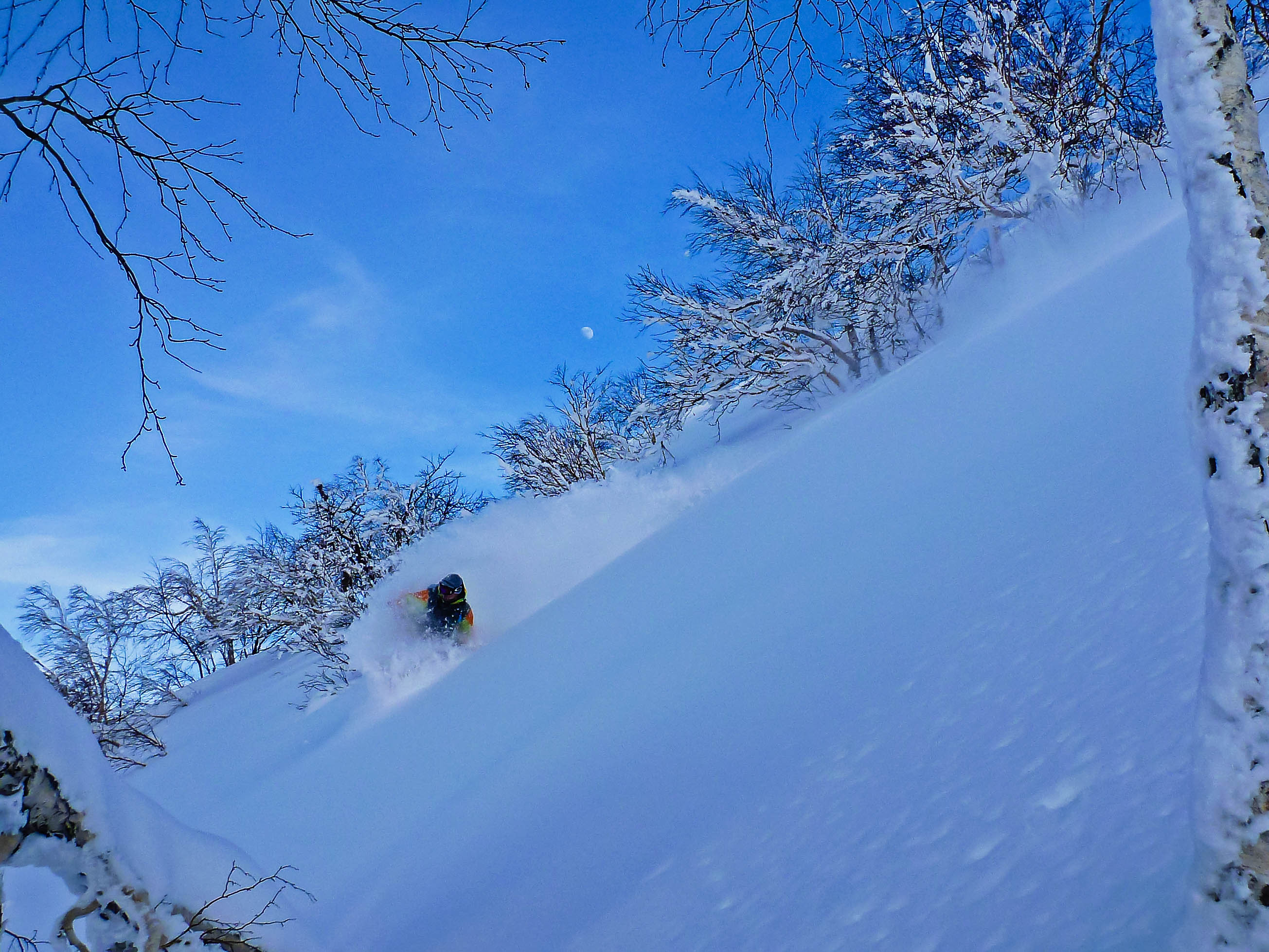 Split boarding in Paradise, Furano