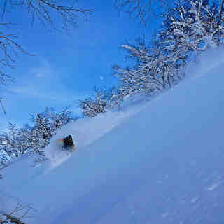 Split boarding in Paradise, Furano