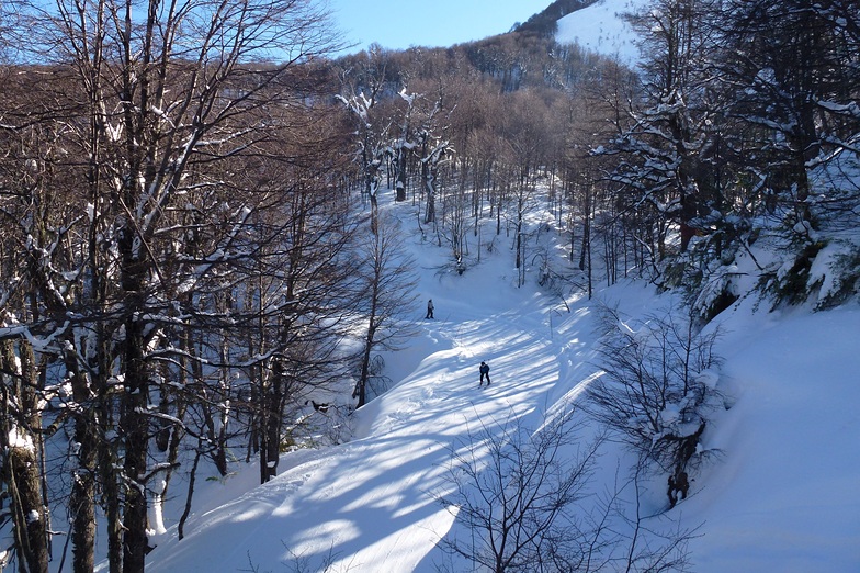 Bosque Nevado, Nevados de Chillan