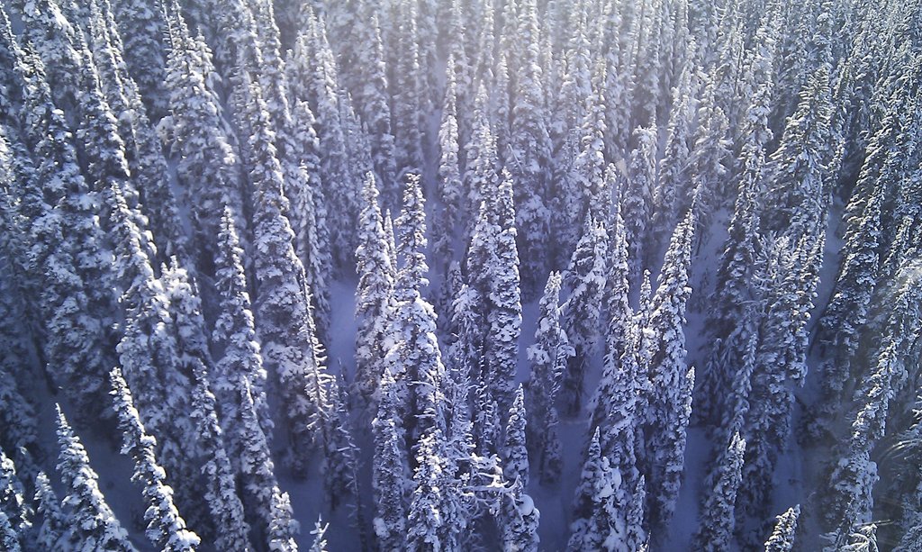 View from the Peak 2 Peak, Whistler Blackcomb