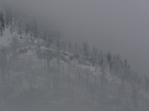 Vogel Ski Resort by: Snow Forecast Admin