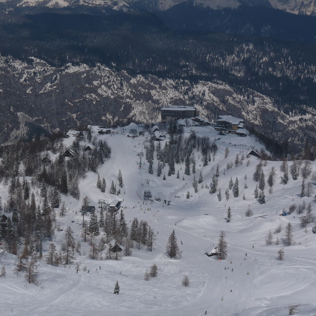 Vogel Snow: Vogel Hotel