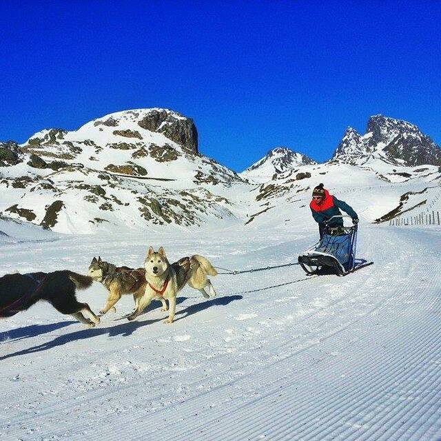 Formigal Snow: MUSHING FORMIGAL