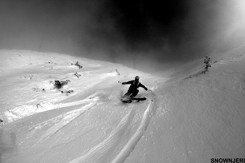 Monochromed Leon, Brezovica