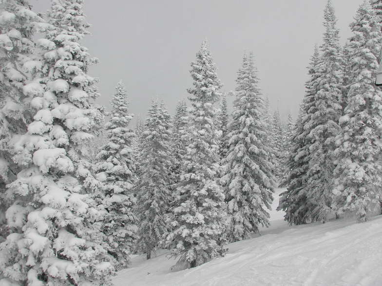 Steamboat Powder Day