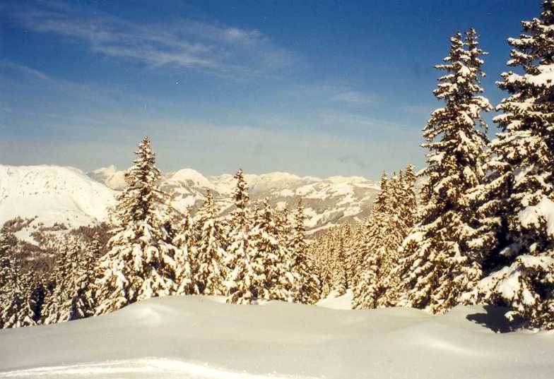 Skisafari Kitzb, Kitzbühel