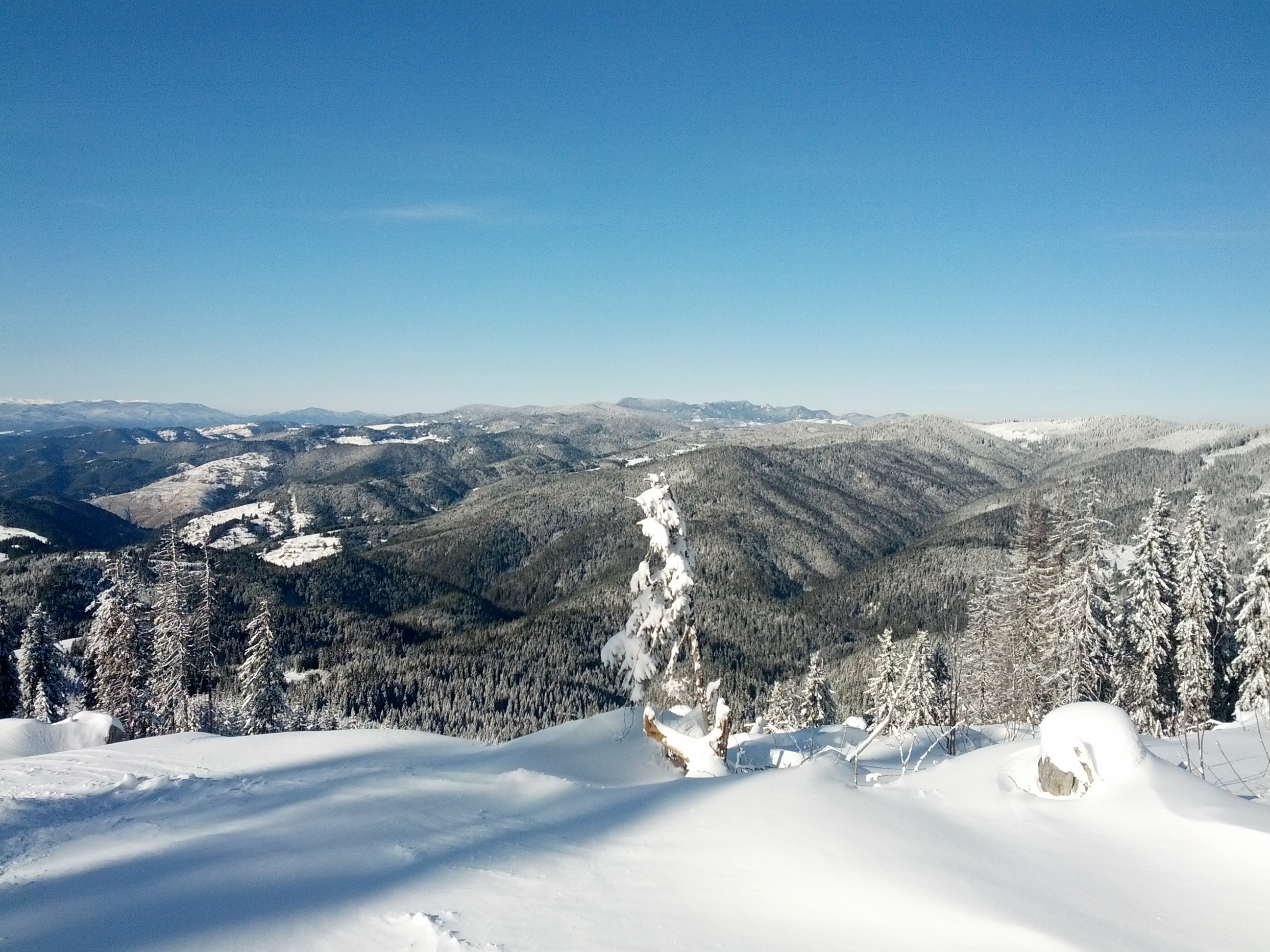 First day of 2015, Pamporovo