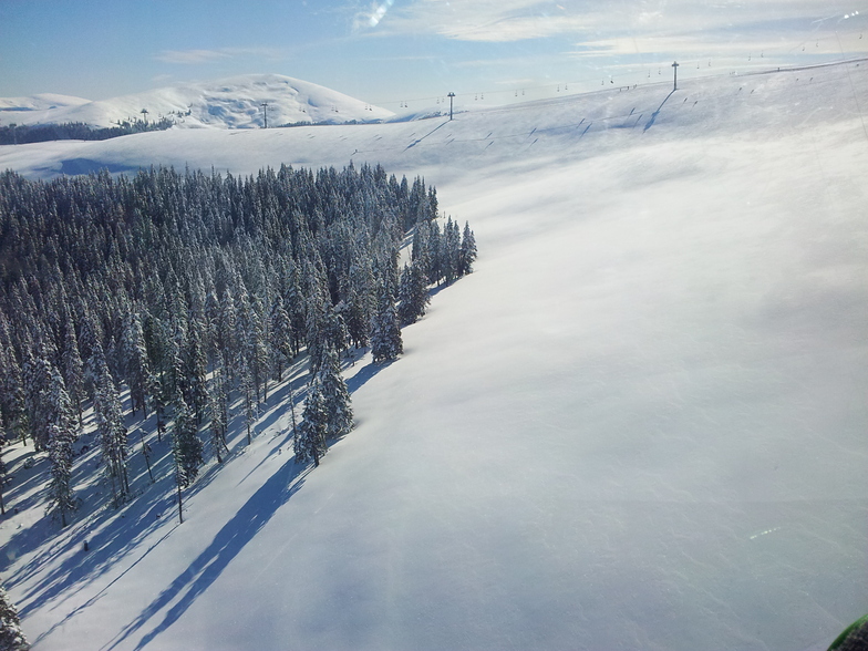 Vidra Transalpina